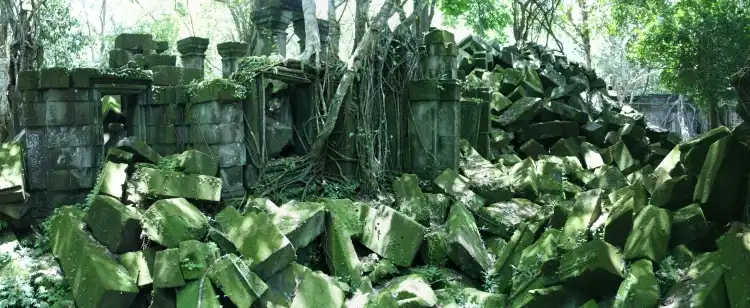 Tree roots entwining the ruins of Beng Mealea