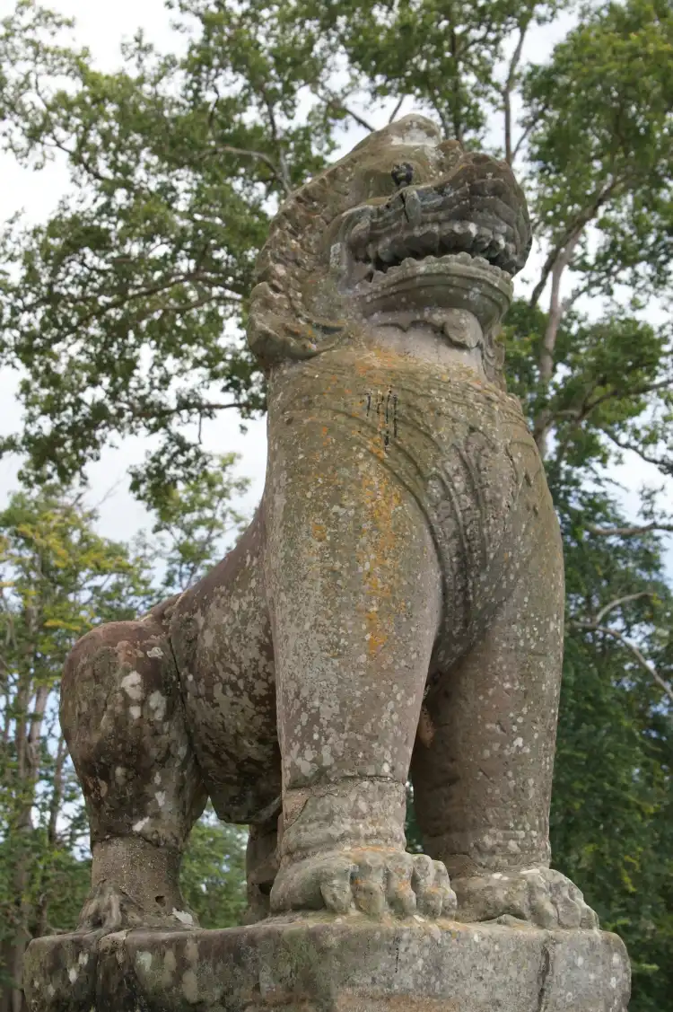 Lion of Sura Slang